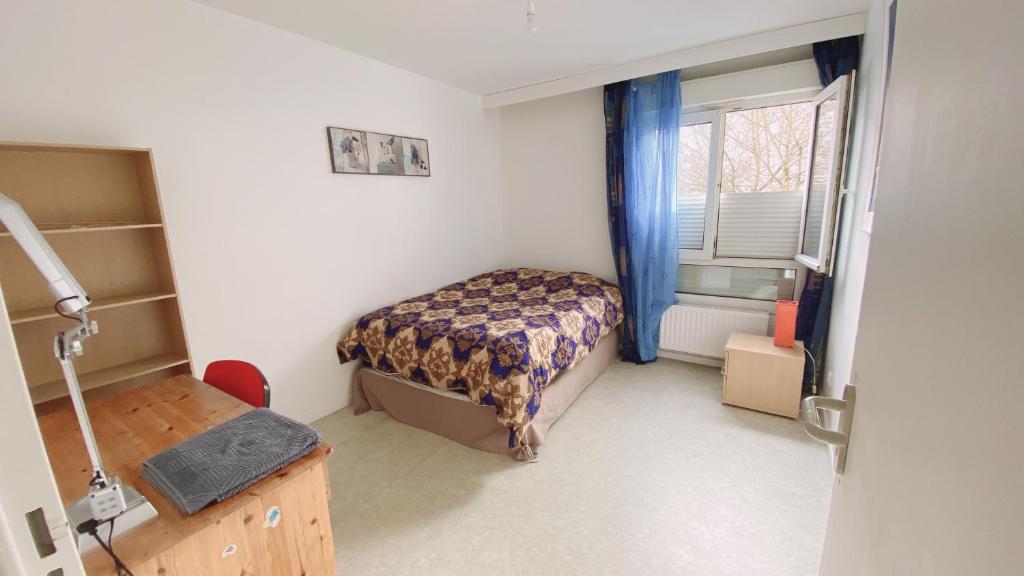 Nancy centre bienvenue, chambre chez l'habitant - 4