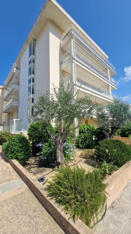 Résidence port Calvi- Apartment T3 sea view - 2