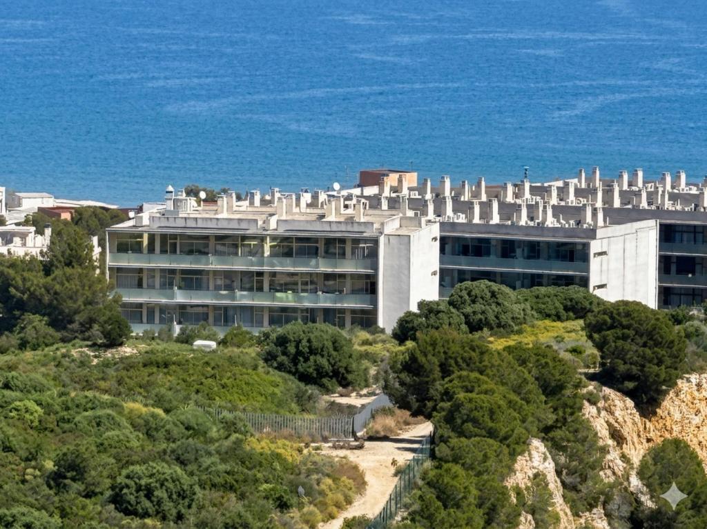 Apolo Suites Rentalmar - 3