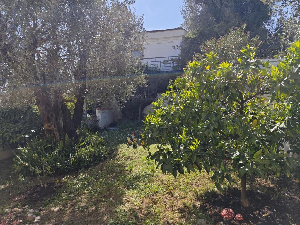 Guest House Anika - 2