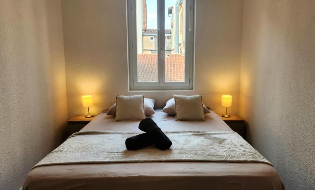 La Rose Toulousaine - Fully equipped 2-bedroom 3person - City center - 1