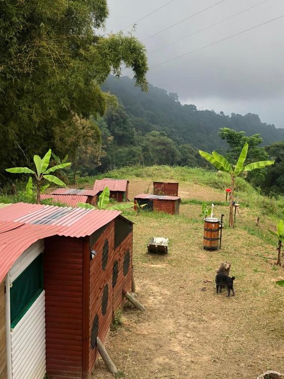 Miradores Del Oso Perezoso - 3