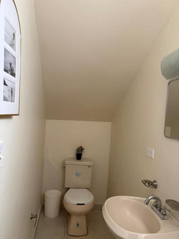 Comfortable 1BR Apartment 10 Min from Malecón - 2