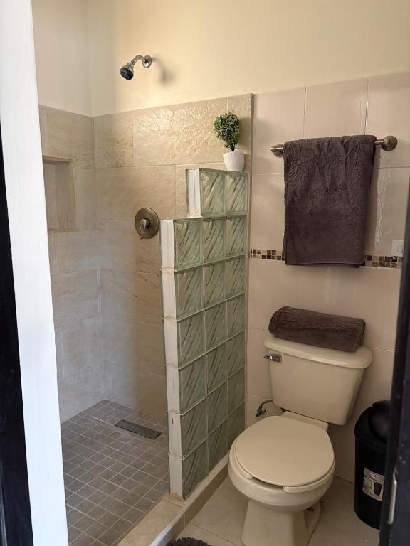 Comfortable 1BR Apartment 10 Min from Malecón - 4
