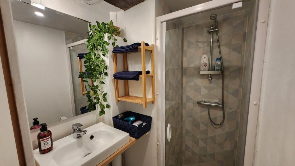 T4 Authentique Toulousain Fully equiped- 3bed 5person hypercentre - 4