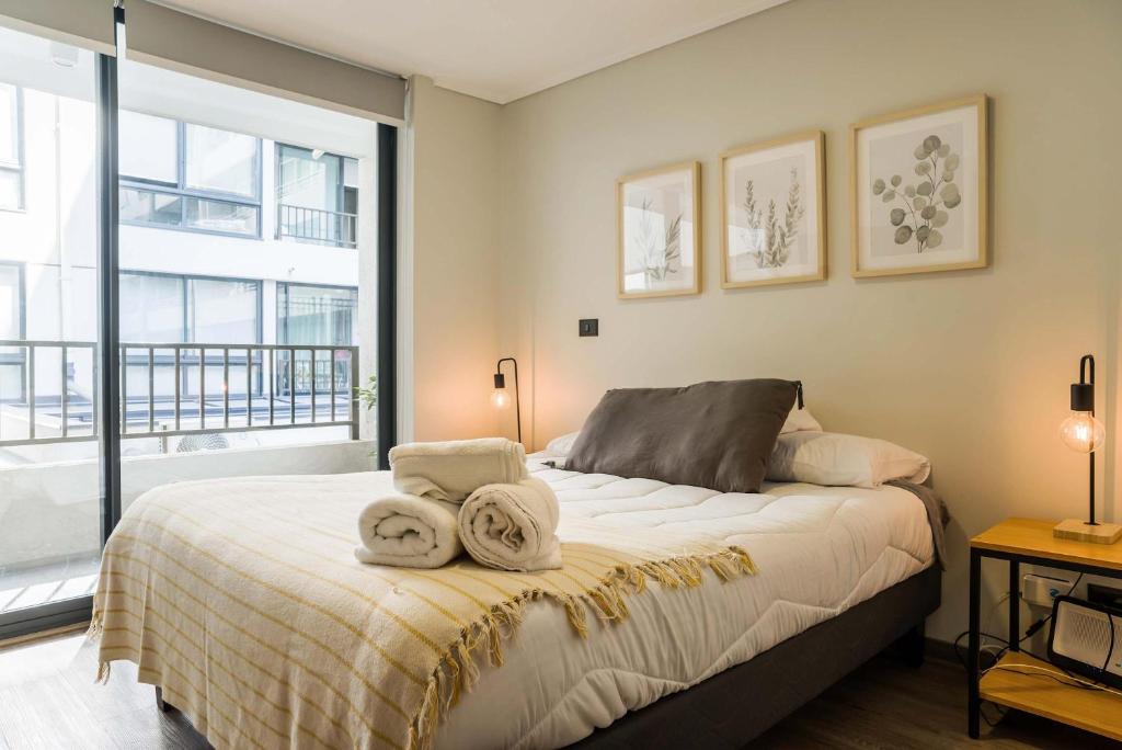 Modern and comfortable 1BR 1BA in Santiago - 2