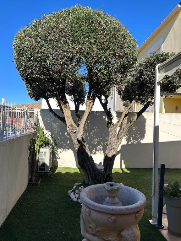 Les Jardins de la Méditerranée - 5