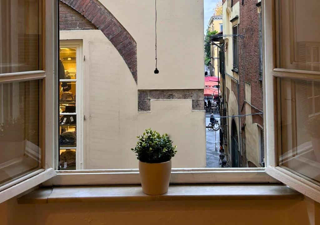 Appartamento Nanni nel cuore del centro storico di Lucca - 2