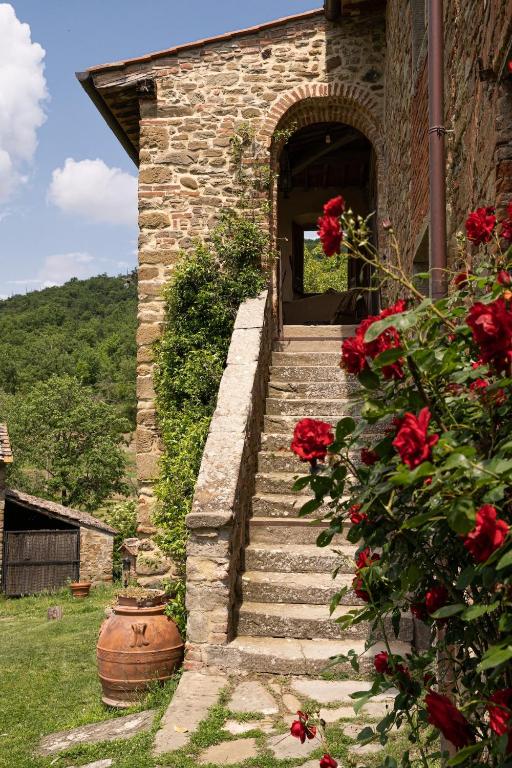 Badia Roccavo - 2