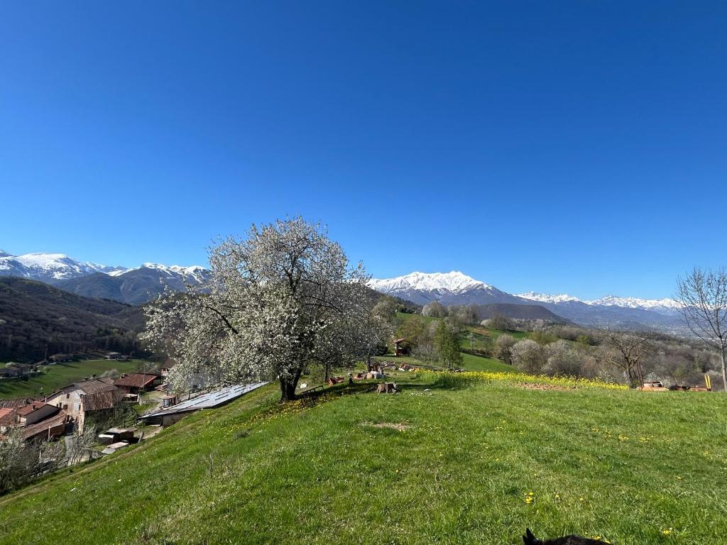 Appartamento a Paganotti - 3