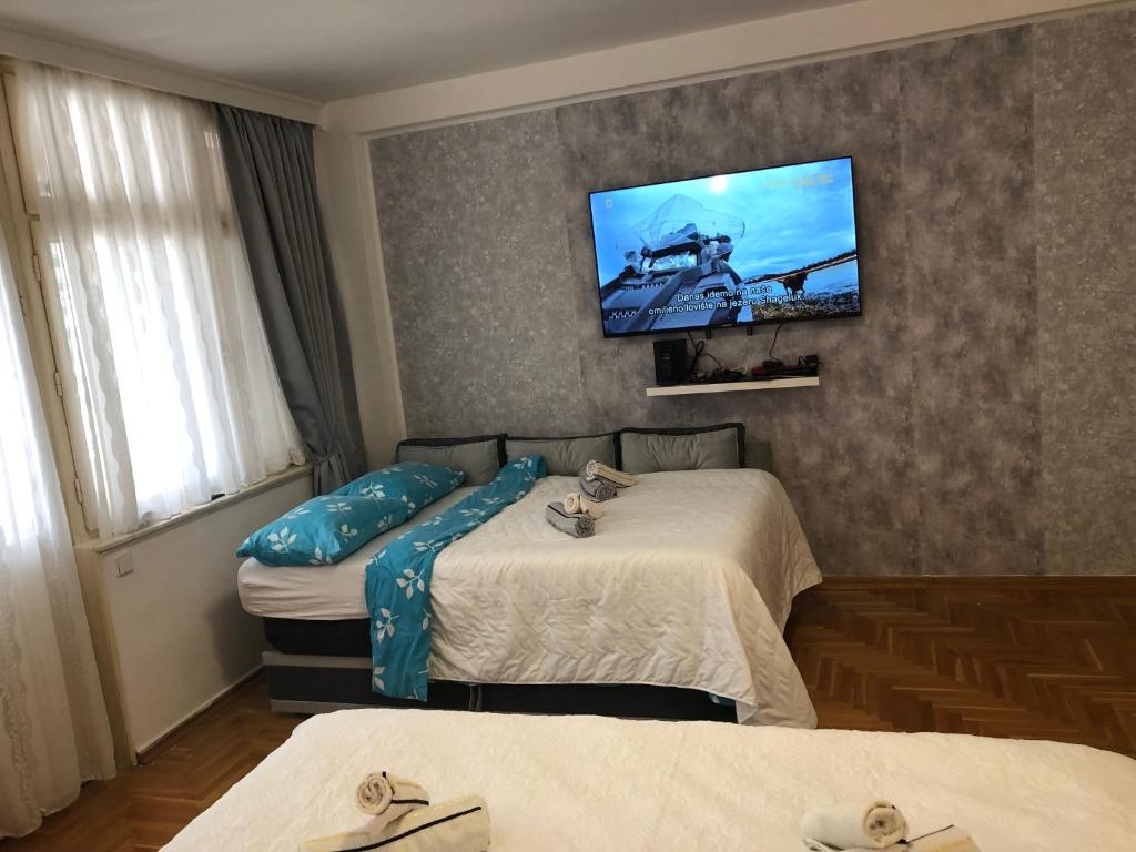 Apartman Victory - 5