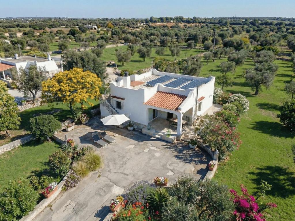 Polvere di Stelle – A Haven of Elegance - 1
