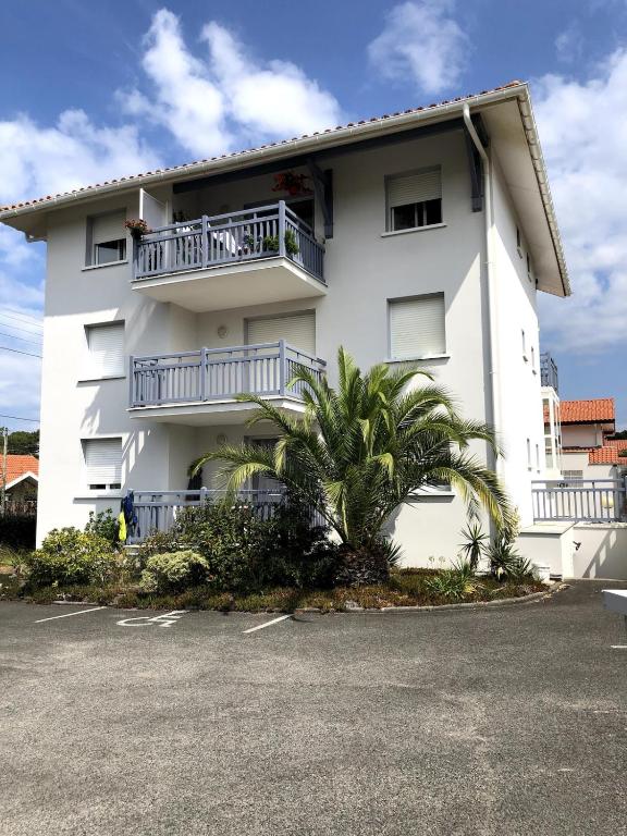 Appartement T2 plein pieds avec parking gratuit - 1