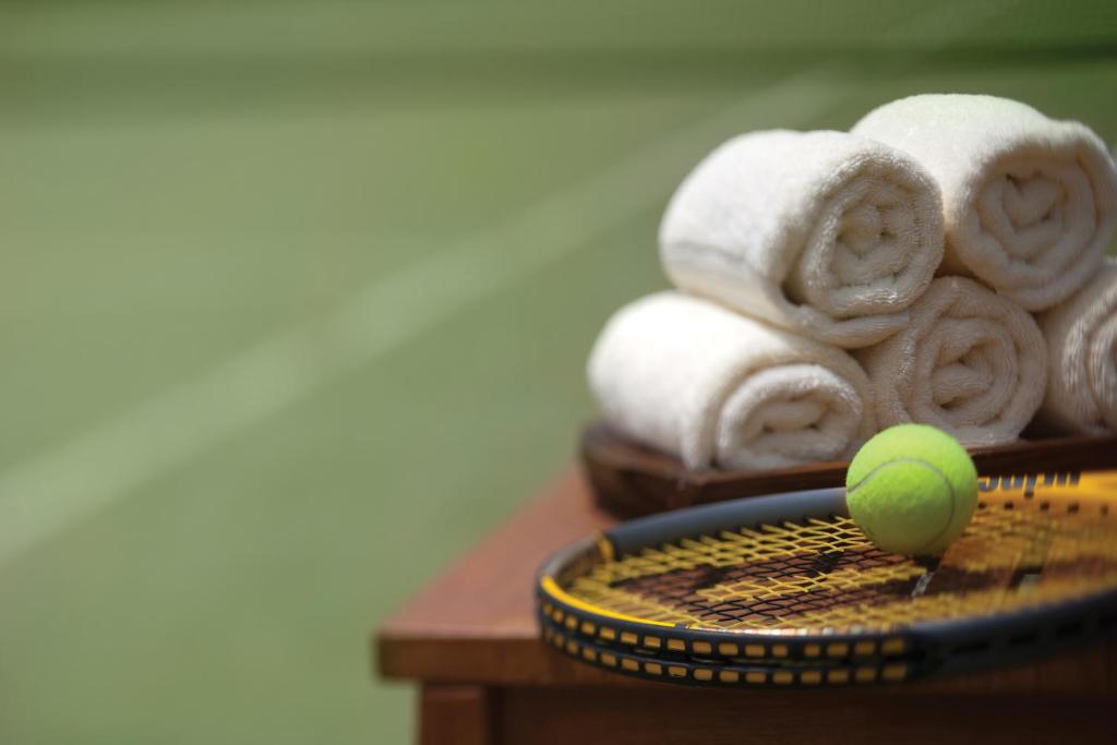 Tennis court