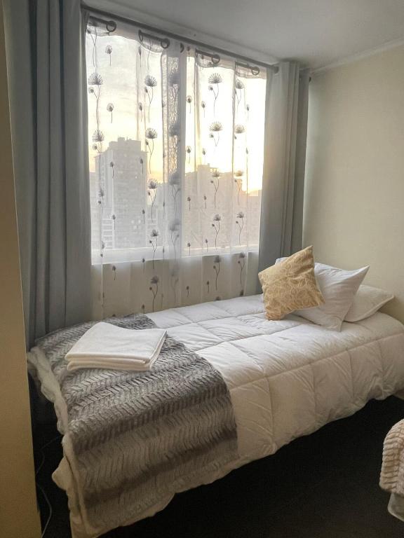 Hermoso y acogedor - Aire Acondicionado - Wifi - Santiago Centro - 1