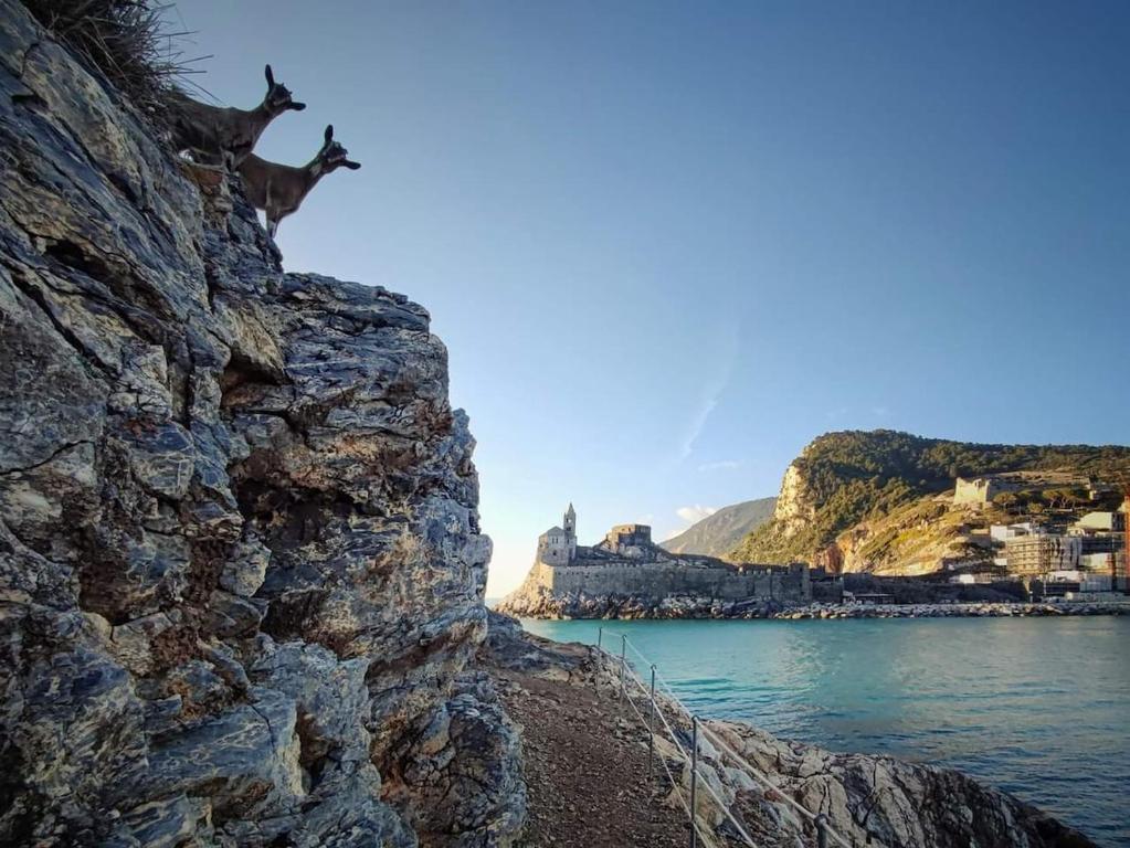 La casetta della Nini - Stay Explore and Love Cinque Terre - 1