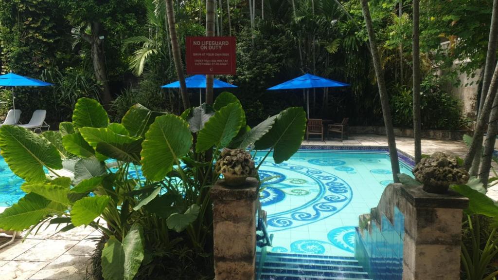Swimming pool