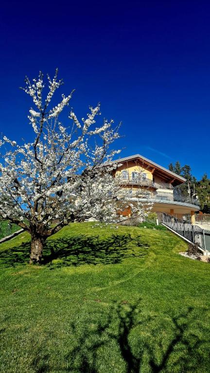 Affittacamere Dolce Sogno - 5