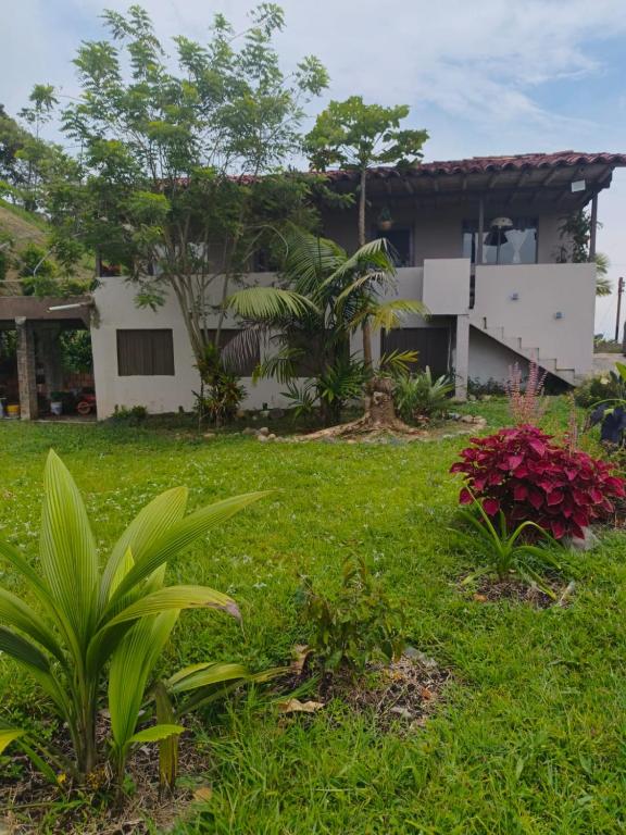 neu casa de campo - 1