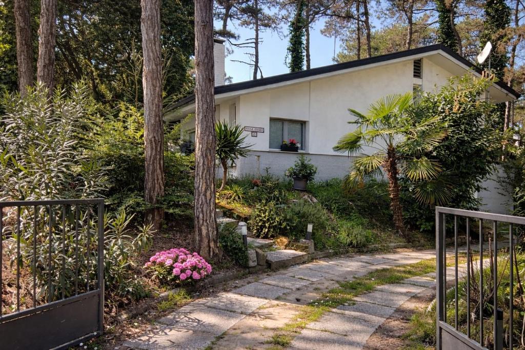 Villa Amedea - 3