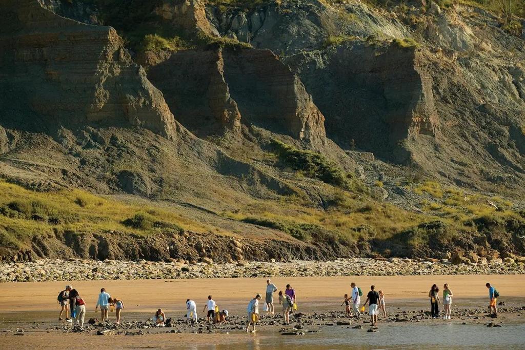 Le Nid du Normandy - À deux pas de la Mer - 3