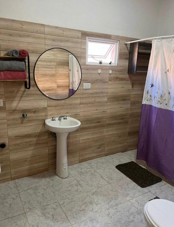 andean suite - 2