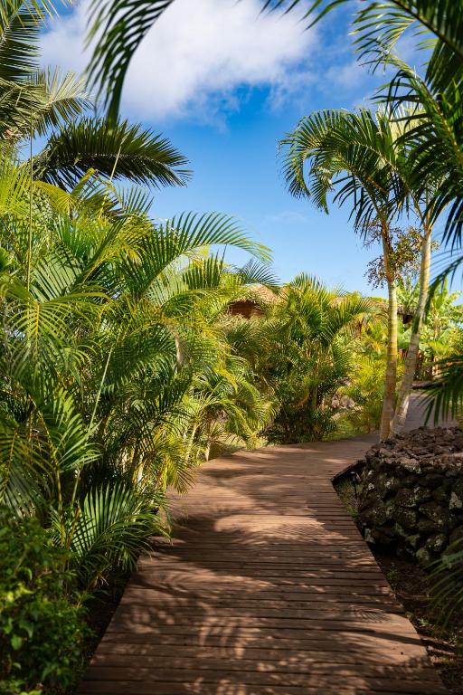 Kona Koa Lodge - 5