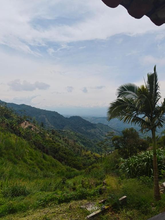 Hospedaje Finca Eje Cafetero, Casa Ne u - 3