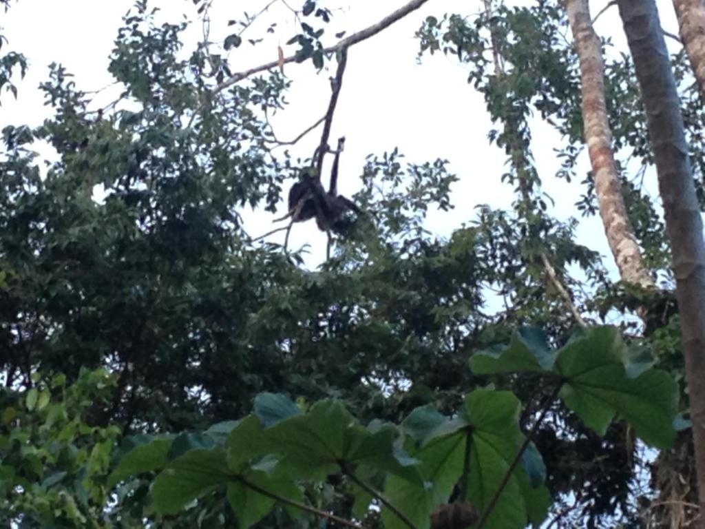 Sports and activities