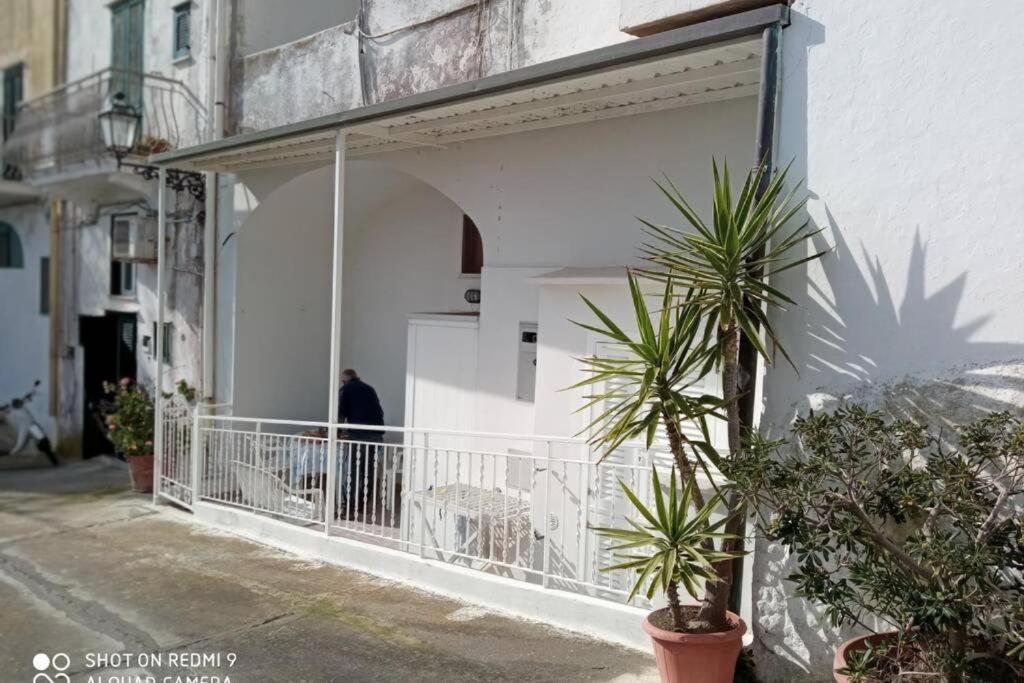 Casa Il Timone Indipendente - 2