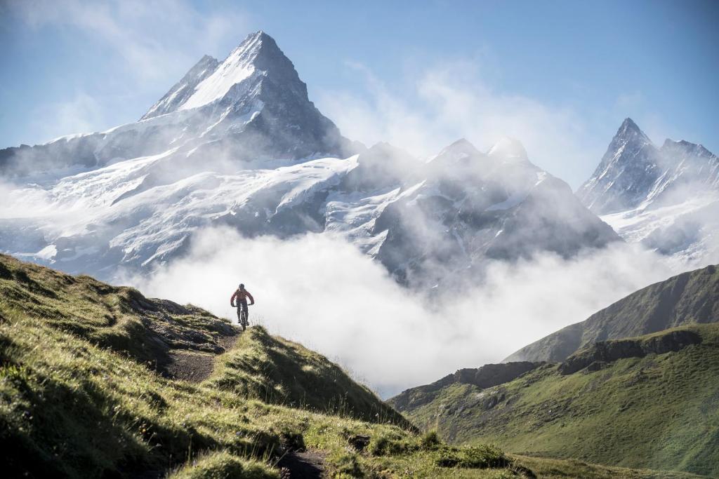 アクティビティ