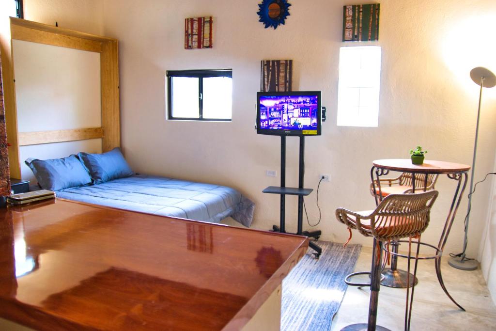 Loft studio with views of downtown Tijuana - 3