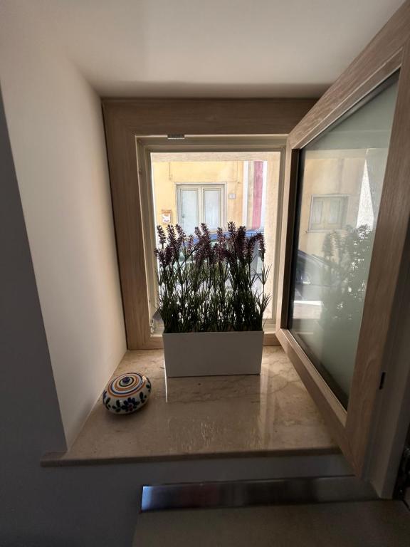 La Casa di Carmela - 4