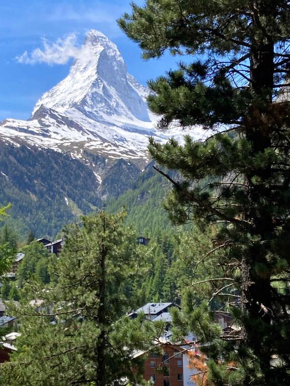 Studio Chalet with terrace & Matterhorn view - 3