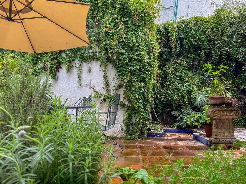 Beautiful and spacious Colonial Home, Mexico City - 2