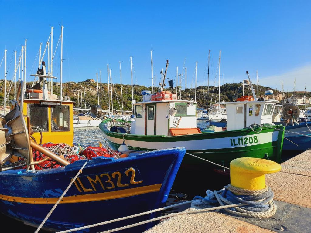 La Filetta Villette Santa Teresa Gallura - 2