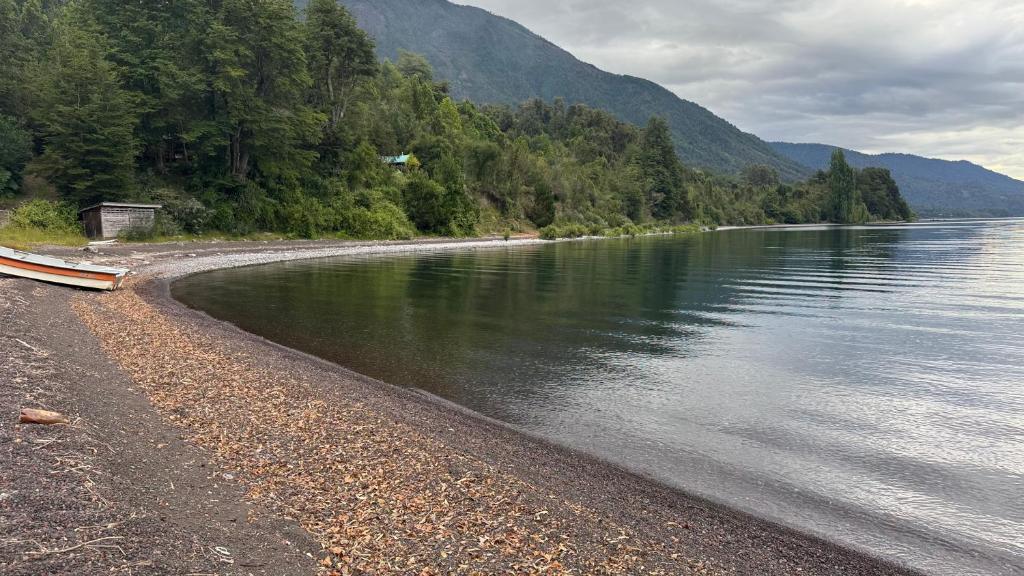 Cabaña los helechos - 3