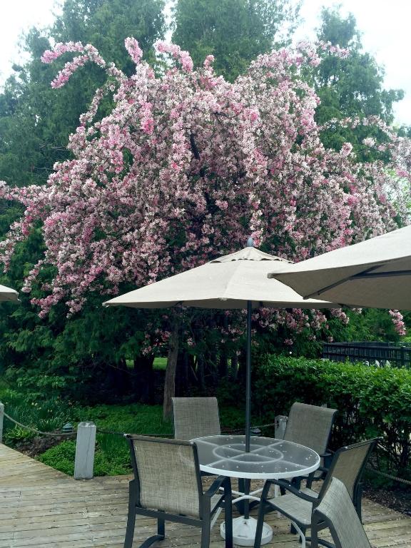 Country House Resort photo