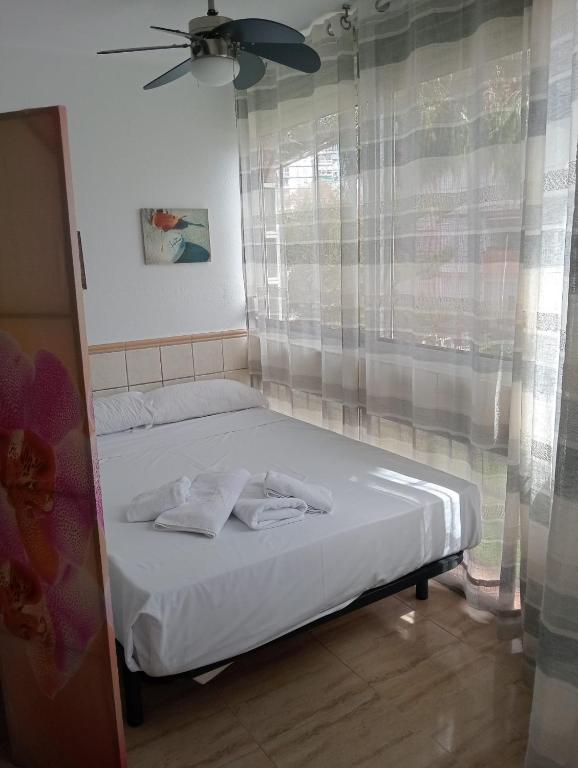 A&N Central Beach & Pool Studio Torre del Mar - 3