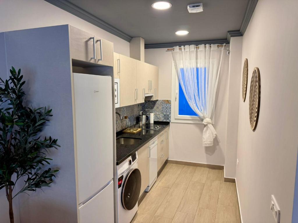 Biznaga Apartamentos 2B - 4