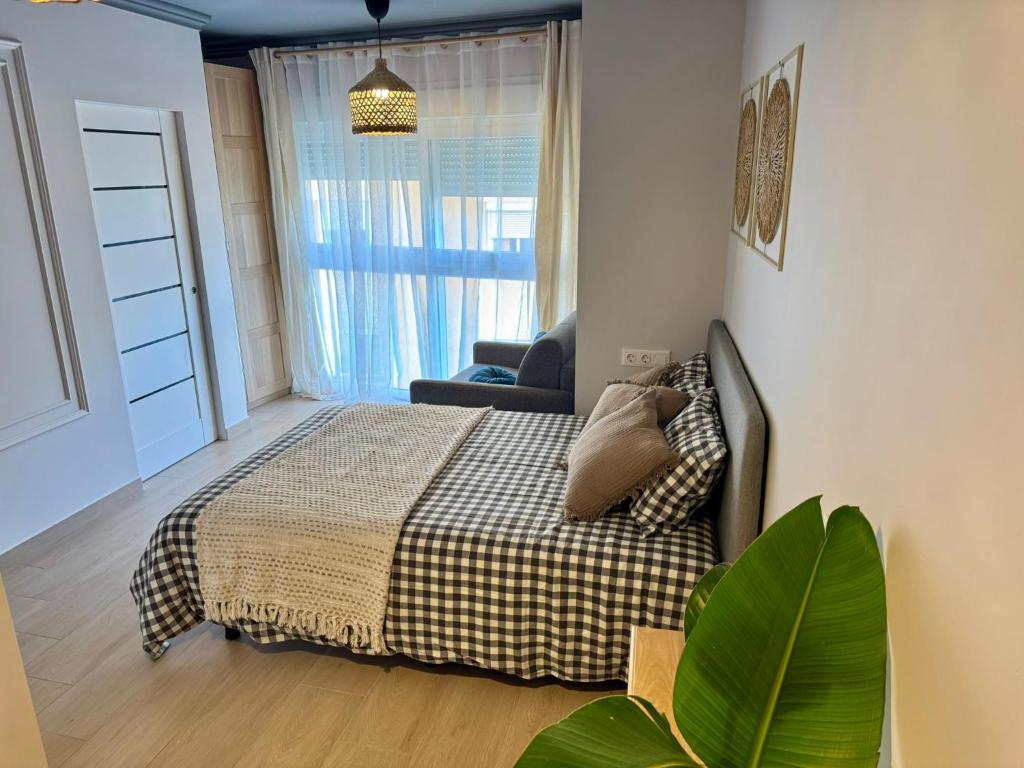 Biznaga Apartamentos 2B - 5