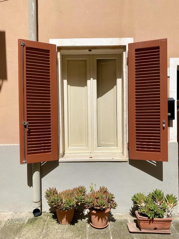 La Casa Rosa - 2
