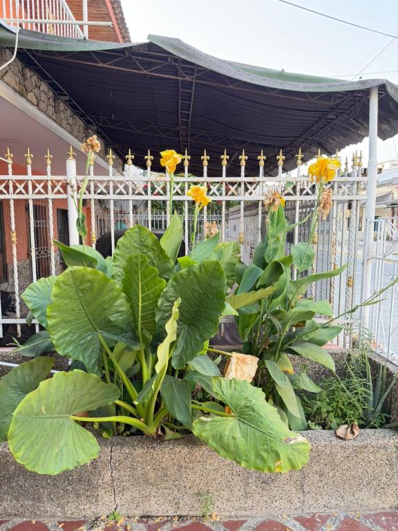 Hostal el Refugio - 4
