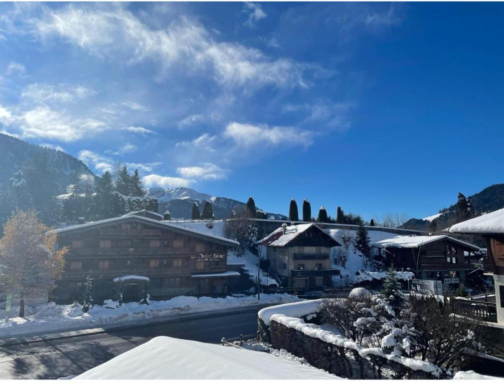 Authentic Megève Chalet Ski & Parking - 4