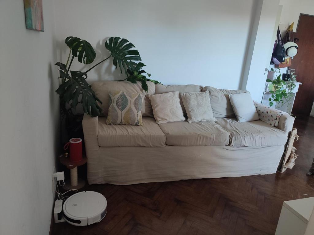 casa zora - 2