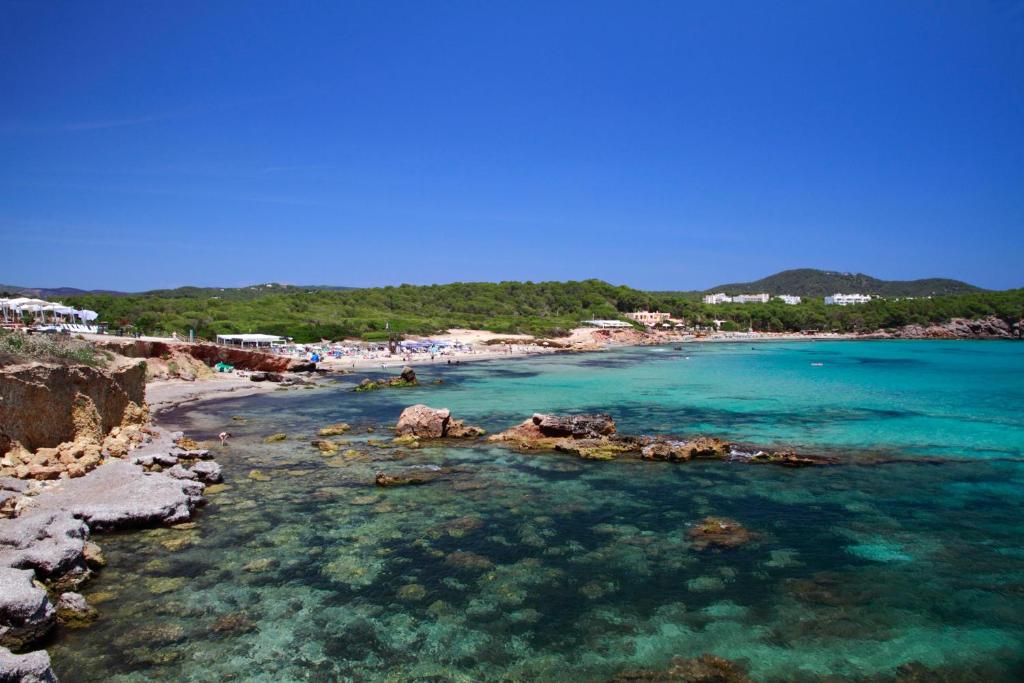 BLUESEA Paraiso Beach - Adults Only — Beach in Es Canar, Balearic Islands