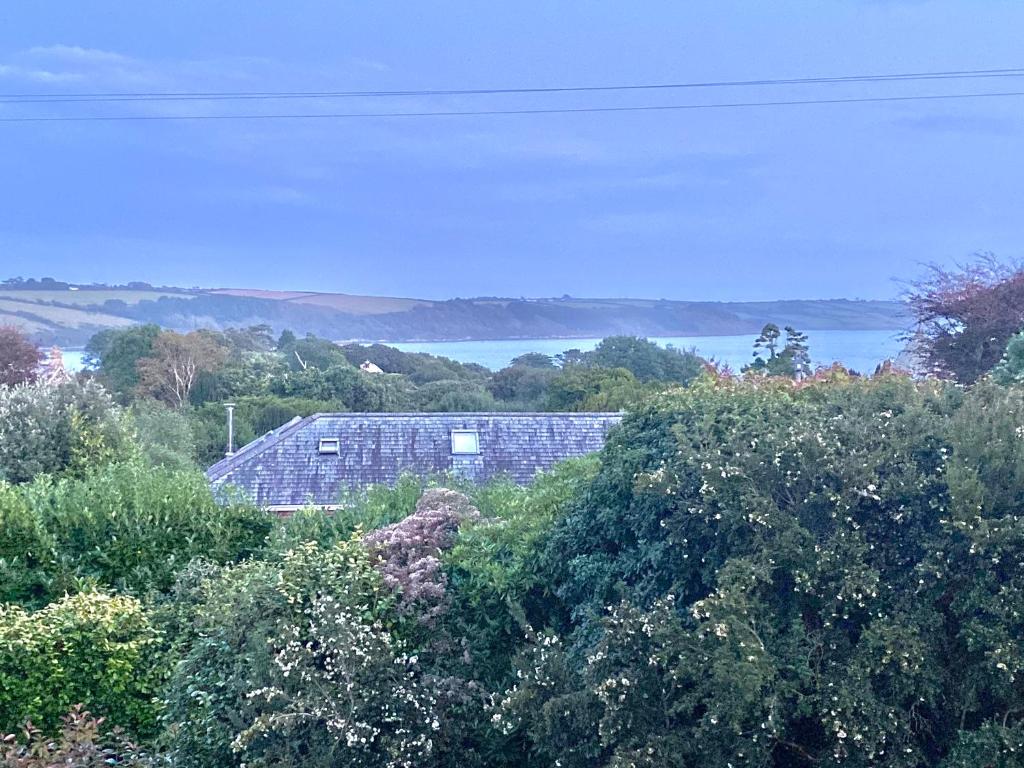 Timbers, Truro photo 5