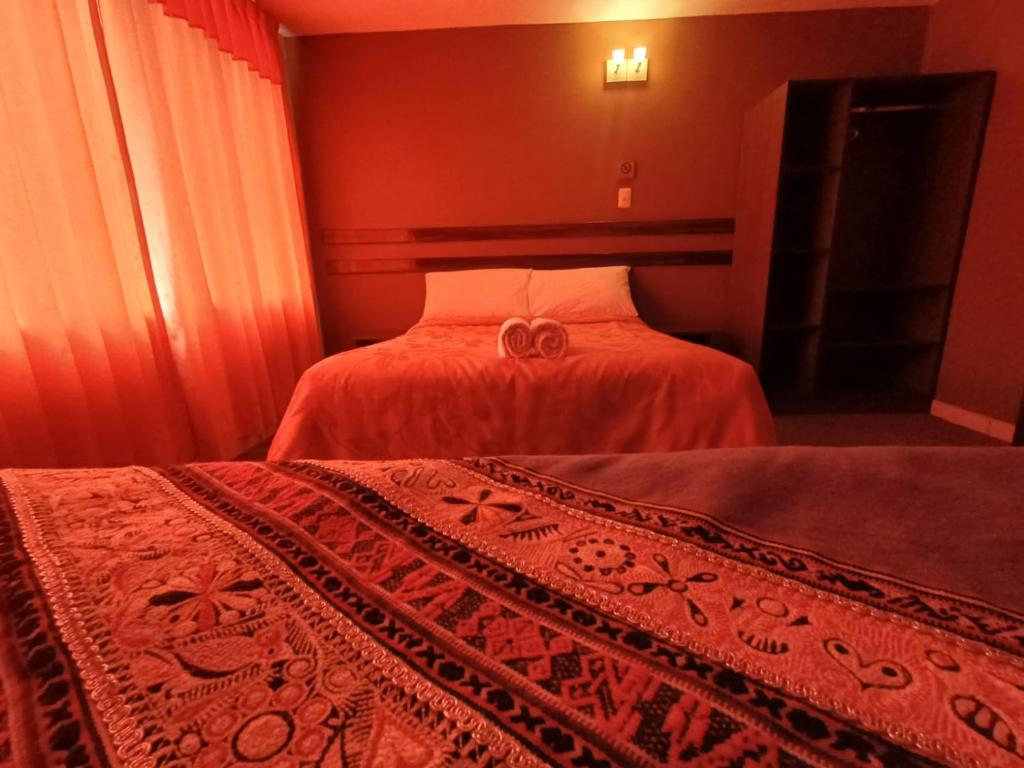 Colca Terra - 4