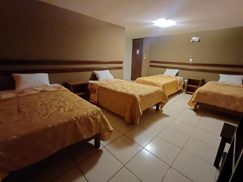 Colca Terra - 5