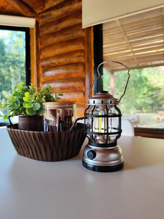 Cabaña a estrenar en el bosque, con pileta privada - 3